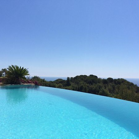 Le Clos Des Iles Vallauris Exteriör bild